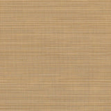 Sunbrella Destiny Sand 3050133 Sling Fabric