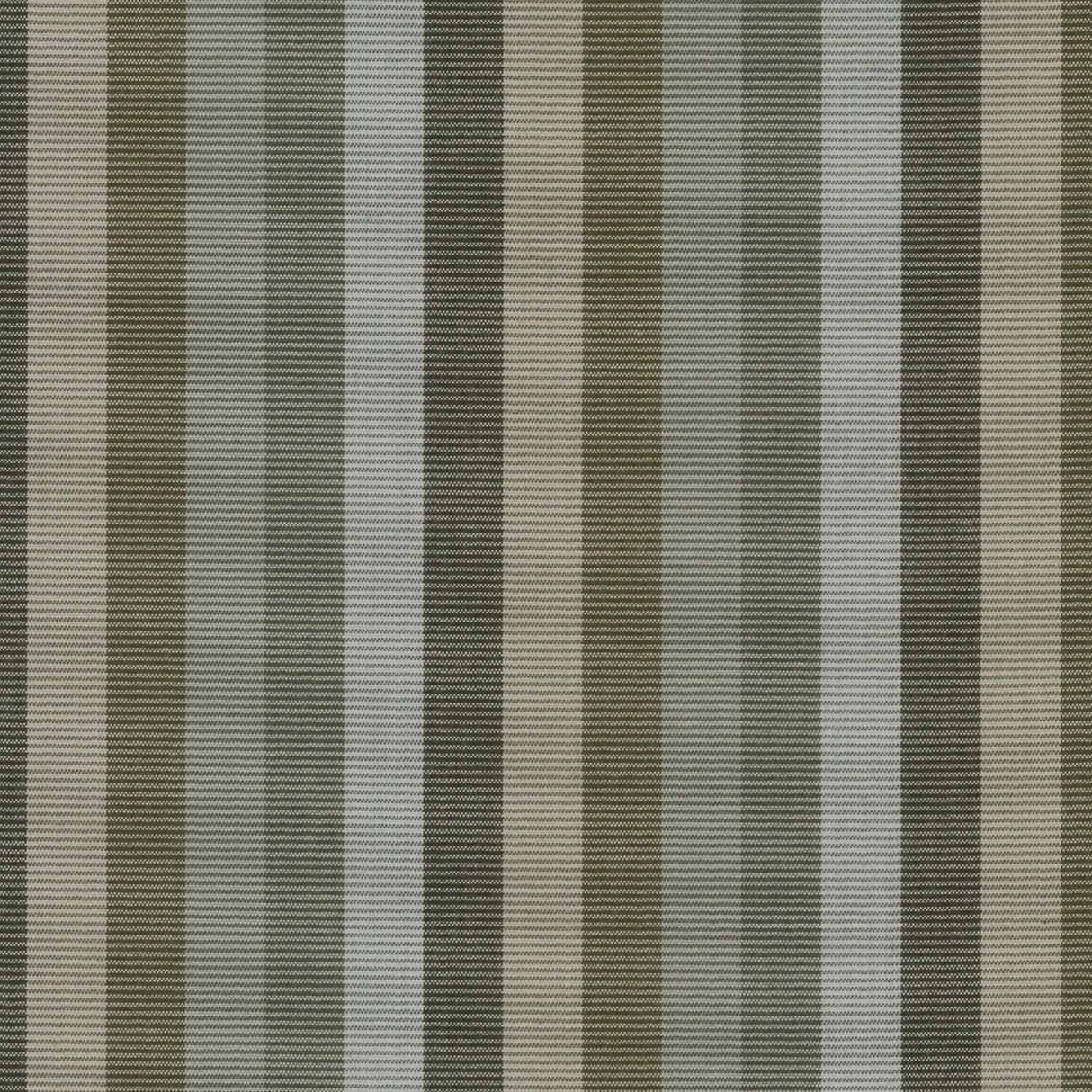 Sunbrella Entice Moss 40637-0000 Upholstery Fabric