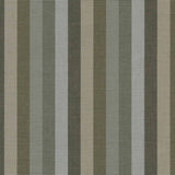 Sunbrella Entice Moss 40637-0000 Upholstery Fabric