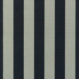 Sunbrella Expressive Mist 14120-0000 Upholstery Fabric