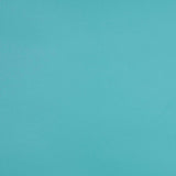 Sunbrella Horizon Capriccio Aquamarine 10200-0021 Foam Back Marine Vinyl Upholstery Fabric 