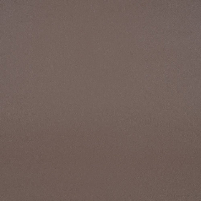 Sunbrella Horizon Capriccio Taupe 10200-0010 Foam Back Marine Vinyl Upholstery Fabric