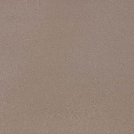 Sunbrella Horizon Capriccio Taupe 10200-0010 Marine Vinyl Upholstery Fabric