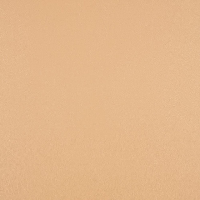 Sunbrella Horizon Capriccio Toast 10200-0007 Foam Back Marine Vinyl Upholstery Fabric