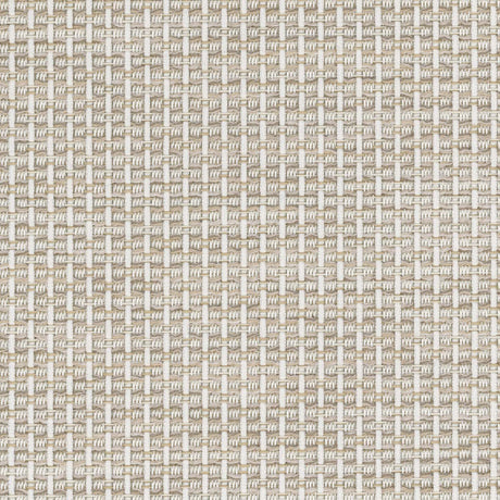 Sunbrella Igneous Cream 3050620 Sling Fabric