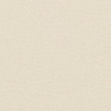 Sunbrella Palazzo Ivory PAL J222 140 European Collection Upholstery Fabric