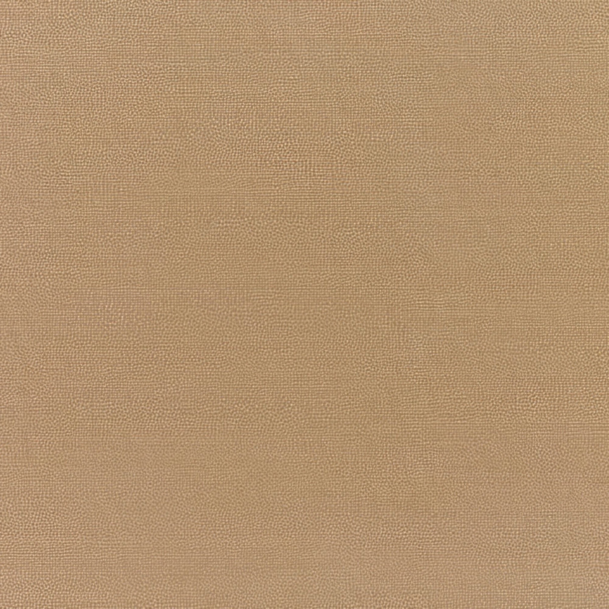 Sunbrella Canvas Cocoa 5425 - 0000 Elements Collection Upholstery Fabric - Outdoor Fabric Central