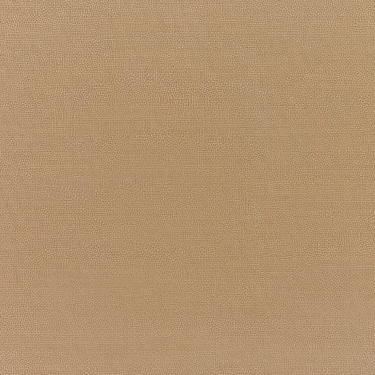 Sunbrella Canvas Cocoa 5425 - 0000 Elements Collection Upholstery Fabric - Outdoor Fabric Central