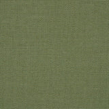 Sunbrella Bliss Aloe 48135 - 0017 Perspectives Collection Upholstery Fabric - Outdoor Fabric Central
