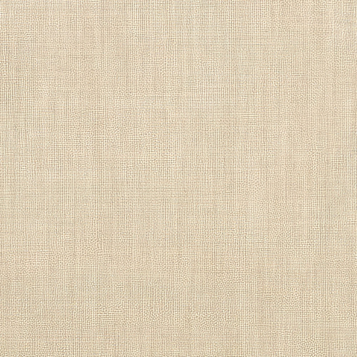 Sunbrella Canvas Flax 5492 - 0000 Elements Collection Upholstery Fabric - Outdoor Fabric Central
