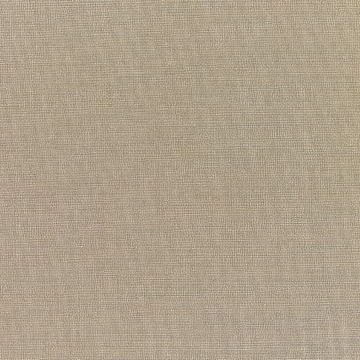 Sunbrella Canvas Taupe 5461 - 0000 Elements Collection Upholstery Fabric - Outdoor Fabric Central