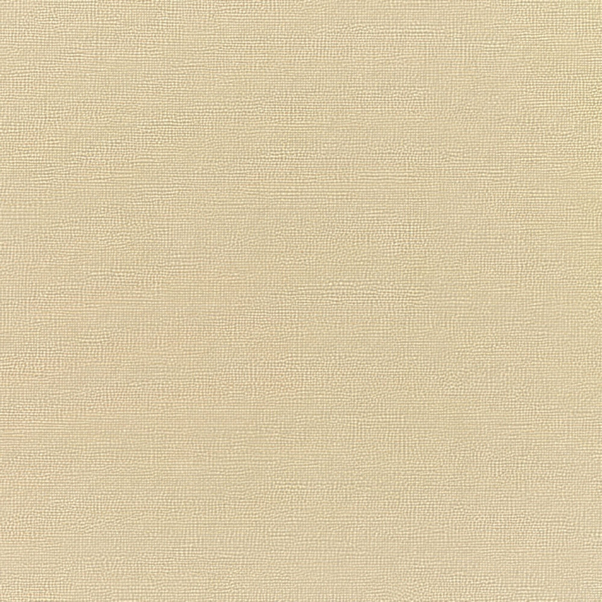 Sunbrella Canvas Antique Beige 5422 - 0000 Elements Collection Upholstery Fabric - Outdoor Fabric Central