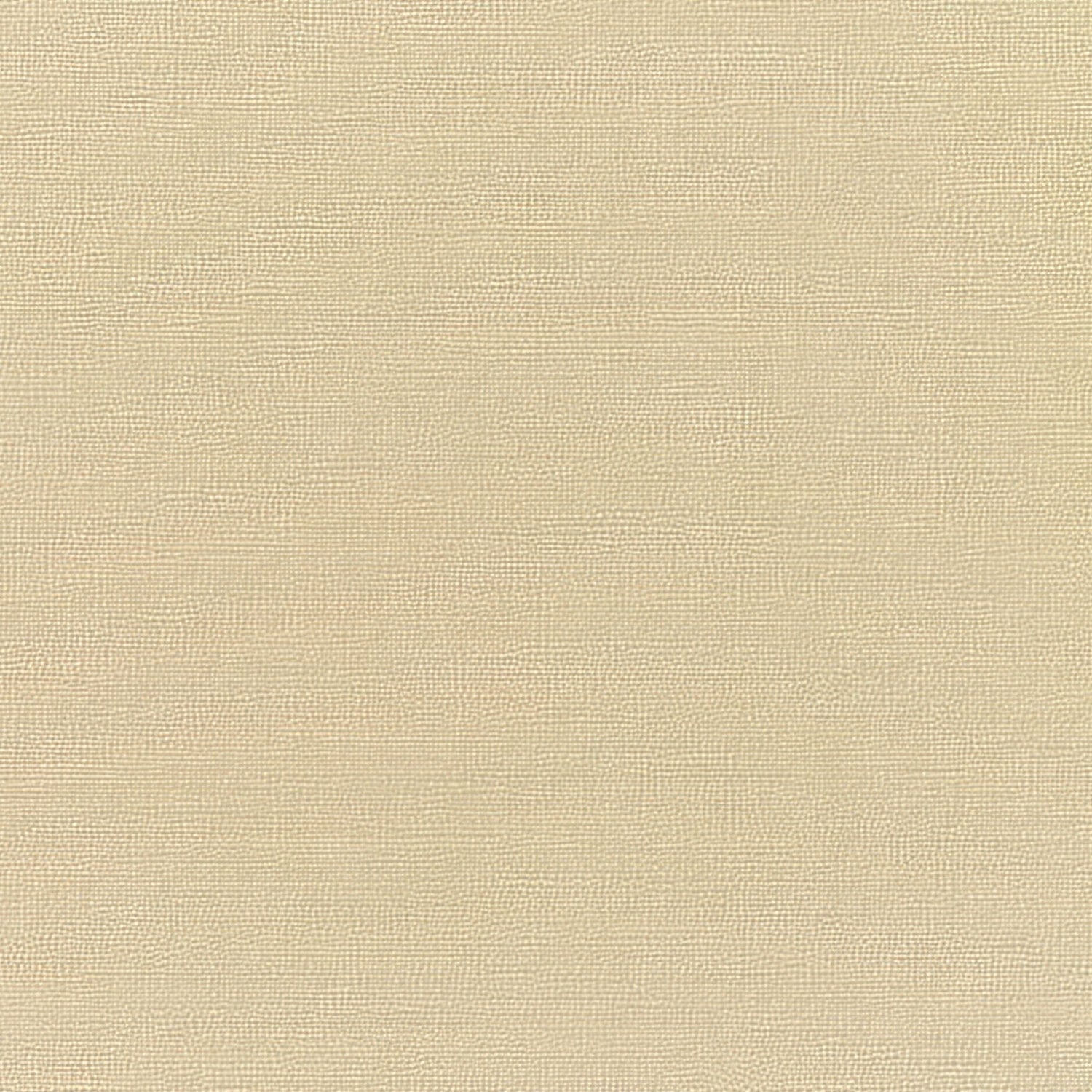 Sunbrella Canvas Antique Beige 5422 - 0000 Elements Collection Upholstery Fabric - Outdoor Fabric Central