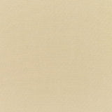 Sunbrella Canvas Antique Beige 5422 - 0000 Elements Collection Upholstery Fabric - Outdoor Fabric Central