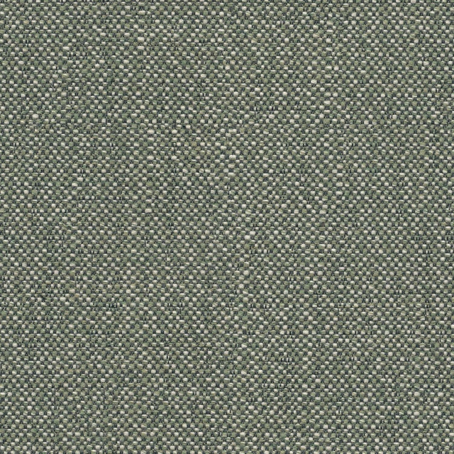 Sunbrella Savane Swamp SAV3 J449 140 European Collection Upholstery Fabric