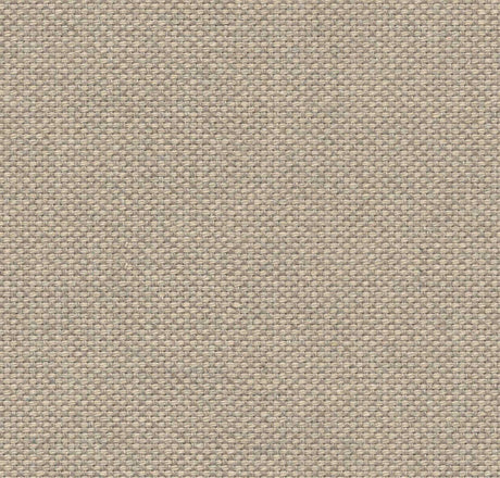 Sunbrella Source Oak SOU 19001 140 European Collection Upholstery Fabric