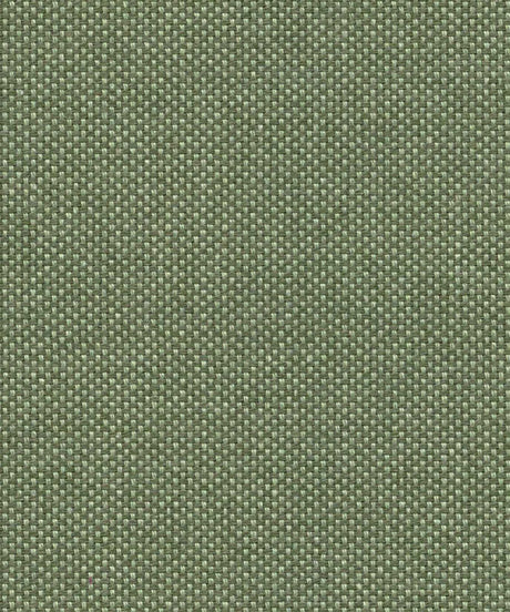 Sunbrella Source Sencha SOU 19005 140 European Collection Upholstery Fabric