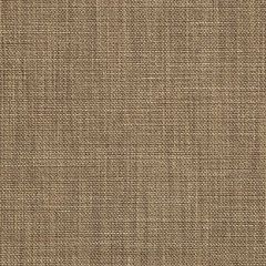 Sunbrella Augustine Fennel 5928-0033 Sling Upholstery Fabric