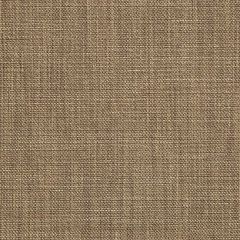 Sunbrella Augustine Fennel 5928-0033 Sling Upholstery Fabric