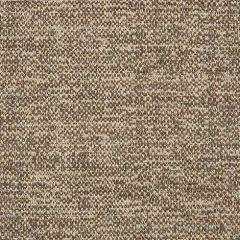 Sunbrella Poet Sparrow 47089-0009 Fusion Collection Upholstery Fabric