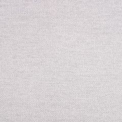 Sunbrella Nurture Pebble 42102-0002 Balance Collection Upholstery Fabric