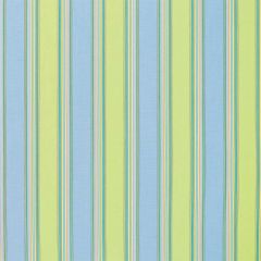 Sunbrella Bravada Limelite 5602-0000 Elements Collection Upholstery Fabric