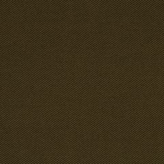 Robert Allen Sunbrella Contract St Tropez Cocoa 222318 Upholstery Fabric