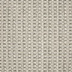 Sunbrella System Stone 50198-0002 Sling Upholstery Fabric