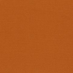 Robert Allen Sunbrella Mod Reeves Tangerine 228320 Dwell Studio Modern Bungalow Collection Upholstery Fabric