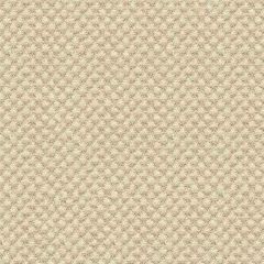 Kravet Sunbrella Beige 25807-116 Guaranteed in Stock Upholstery Fabric