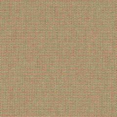 Sunbrella Sailing Suntan 50143-0003 Sling Upholstery Fabric