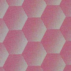 Sunbrella Hexagon Pink HEX J203 140 European Collection Upholstery Fabric