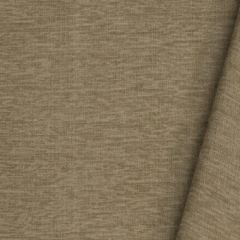 Robert Allen Sunbrella Plush Lanai Brindle 239842 Upholstery Fabric