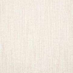 Sunbrella Adena Canvas 44268-0023 Upholstery Fabric