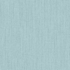 Sunbrella Canvas Curacao SJA 3964 137 European Collection Upholstery Fabric