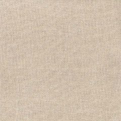 Sunbrella by Alaxi Nefertiti Taupe RA Coordinates Collection Upholstery Fabric