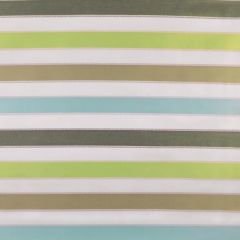 Sunbrella by Alaxi Circus Stripe Seaglass Best of Alaxi Collection Upholstery Fabric