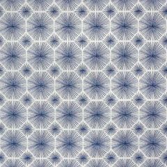 Silver State Sunbrella Sparkler Indigo Roman Holidays Collection Upholstery Fabric