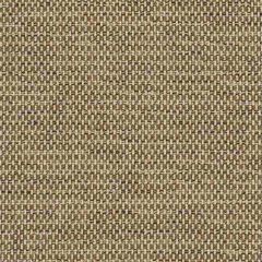Sunbrella Mainstreet Latte 42048-0009 Elements Collection Upholstery Fabric