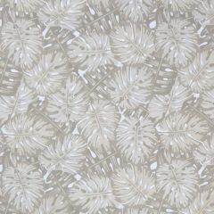 Sunbrella by Alaxi Brazil Sand Dollar Light And Shadows Collection Upholstery Fabric