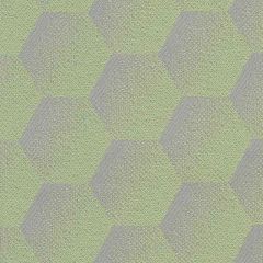 Sunbrella Hexagon Mint HEX J206 140 European Collection Upholstery Fabric