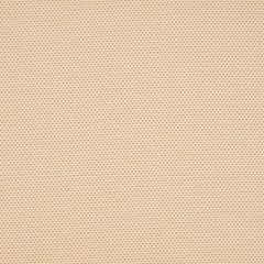 Scalamandre Sunbrella Corsini Dune 8 Elements II Collection Upholstery Fabric