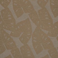 Sunbrella Radiant Dune 69008-0001 Shift Collection Upholstery Fabric