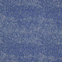 Silver State Sunbrella Jedi Raindrops Roman Holidays Collection Upholstery Fabric