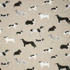 Sunbrella Fetch Bone 145414-0001 Fusion Collection Upholstery Fabric