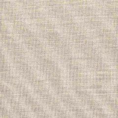 Stout Sunbrella Conjure Pewter 1 Weathering Heights Collection Upholstery Fabric