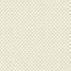 Kravet Sunbrella White 25807-1 Guaranteed in Stock Upholstery Fabric