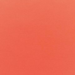 Silver State Sunbrella Legacy Melon Prestige Collection Upholstery Fabric