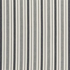 Lee Jofa Sunbrella Martiques Pebble 2019129-111 Thomas O'Brien Indoor Outdoor Collection Upholstery Fabric