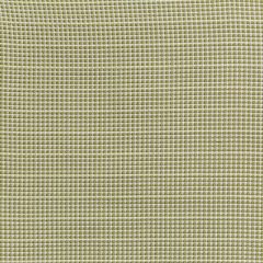 Lee Jofa Sunbrella Portique Palm Green 2019130-301 Thomas O'Brien Indoor Outdoor Collection Upholstery Fabric
